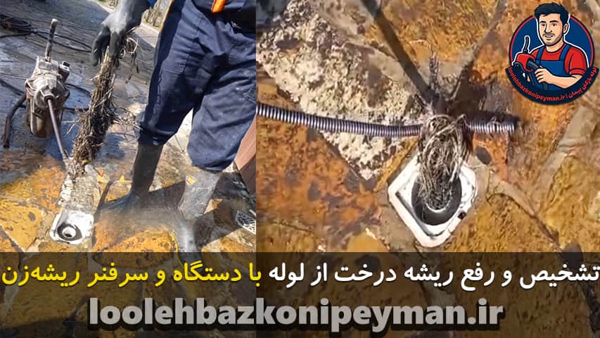 گرفتگی لوله فاضلاب به دلیل نفوذ ریشه درخت در لوله بهترین روش از بین بردن ریشه درخت از لوله فاضلاب