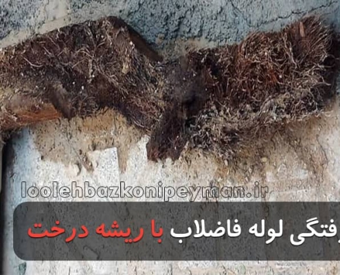 گرفتگی لوله فاضلاب با ریشه درخت